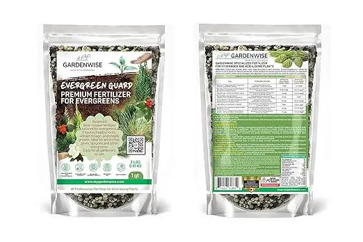 Evergreen Fertilizer – All-Purpose Granular Plant Food for Outdoor Trees and Shrubs, Azaleas, Magnolias, Pines & Arborvitae – Slow-Release Formula (1/2 Quart) by GreenHaven Gardens