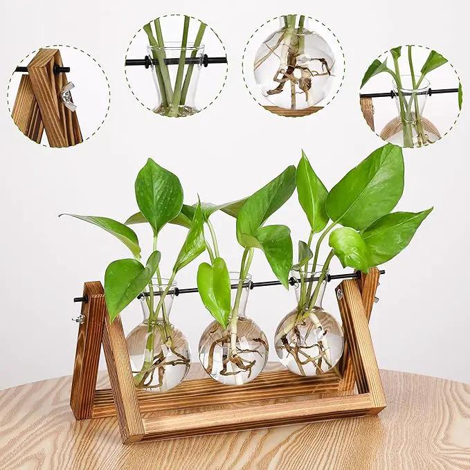 YIBOT Plants Propagation Stations,Desk Plant Terrarium with Retro Wooden Stand,Plant Lover Gifts for Women for Hydroponics Plants Home Garden Wedding Decor(3 Bulb Vase) by GreenHaven Gardens