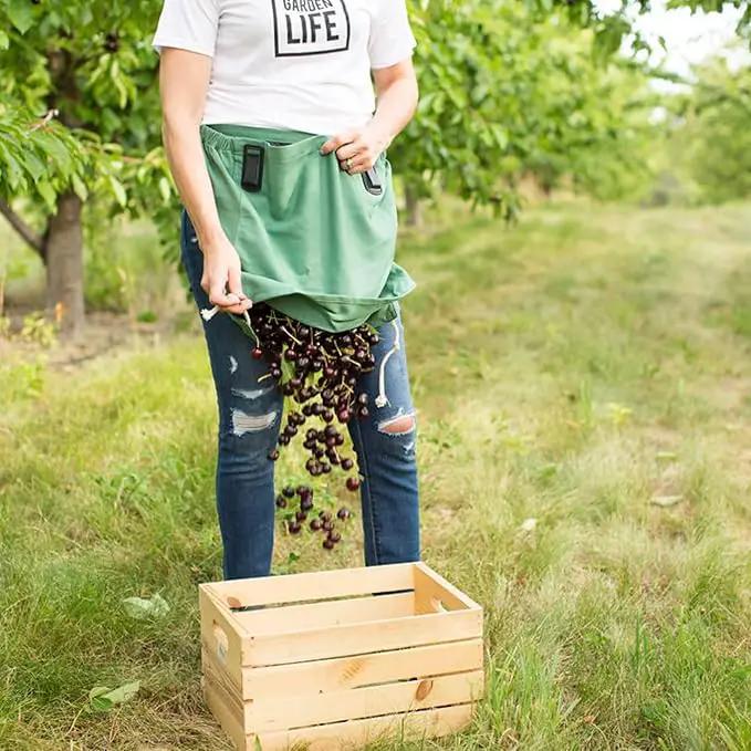 Roo Gardening Apron with Pockets & Harvesting, Picking Pouch - Adjustable, Water-resistant, Washable Canvas Cotton by GreenHaven Gardens