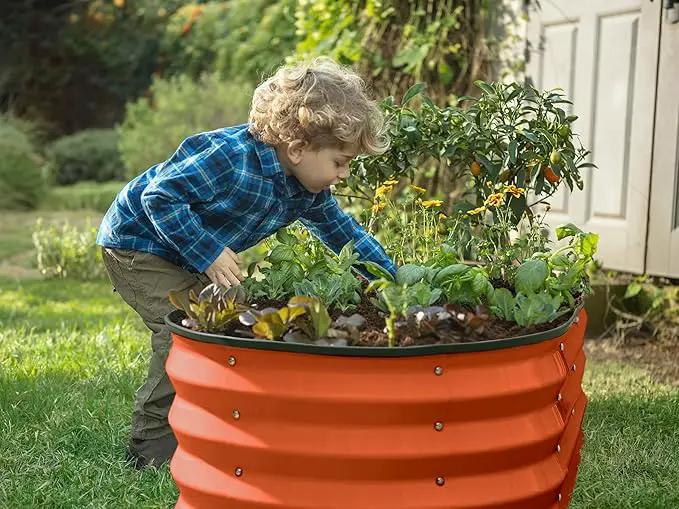 Galvanized Raised Garden Beds Outdoor // 4×2×1 ft Planter Raised Beds for Gardening, Vegetables, Flowers (Orange) // Large Metal Garden Box by GreenHaven Gardens