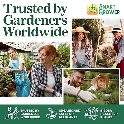 Organic Plant Food with Beneficial Microbes, Fast Acting Vegan Fertilizer for Vegetable Garden, Outdoor & Indoor Plant Fertilizer, Miracle Growth for Plants Concentrated Value 125GR Makes 30 gallons by GreenHaven Gardens