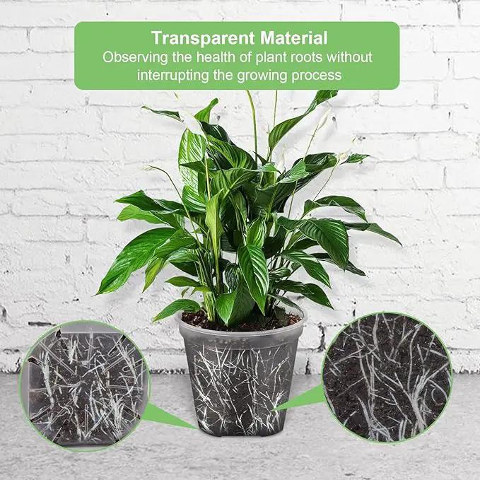 GREENPARA Transparent Plastic Garden Pots Planter with Saucer 4/5 /6/7 /8 inch Plant Pot Nursery Pots Drainage Hole for House Plants, Herb, Flowers, and Cactus with 10pcs Plant Labels, 5-Set by GreenHaven Gardens