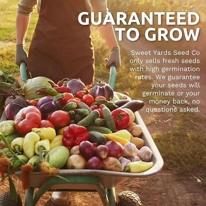 Organic Seeds Essential Variety Pack - 10 Individual Packs - 2025 Season - Summer Squash, Cherry Tomatoes, Arugula, Broccoli and More! for Indoor & Outdoor Planting (Non-GMO, Certified Organic) by GreenHaven Gardens