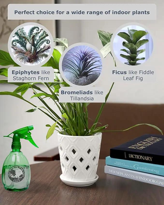 Whispering Winds Ceramic 5 x 6 Inch Orchid Pot with Holes & Saucer for Aeration and Drainage - Decorative Orchid Pots for Repotting, Prevent Over Watering & Root Rot (Carrara White) by GreenHaven Gardens