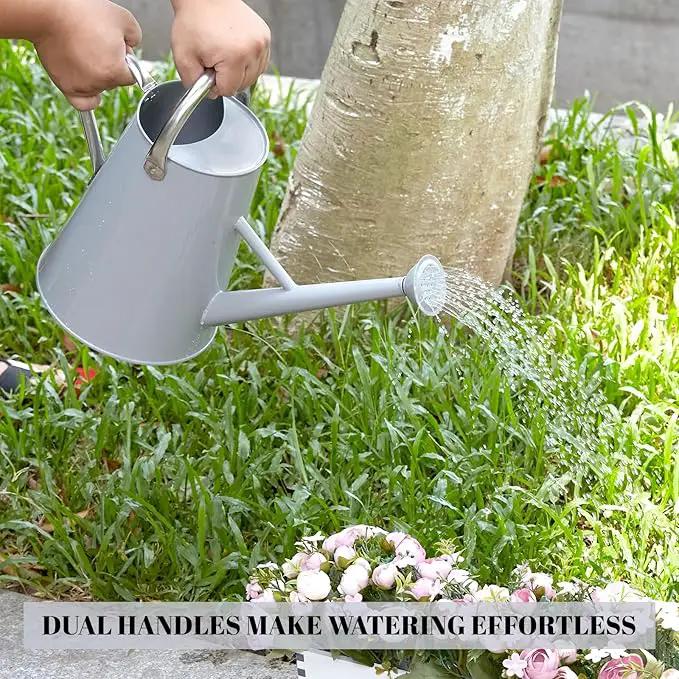 1.5 Gallon Watering Can for Outdoor Plants,Large Metal Plant Watering Pot with Removable Spout,Flower Garden Water Can Watering Pot,Galvanized Steel Watering Can with Stainless Steel Handles，Grey by GreenHaven Gardens