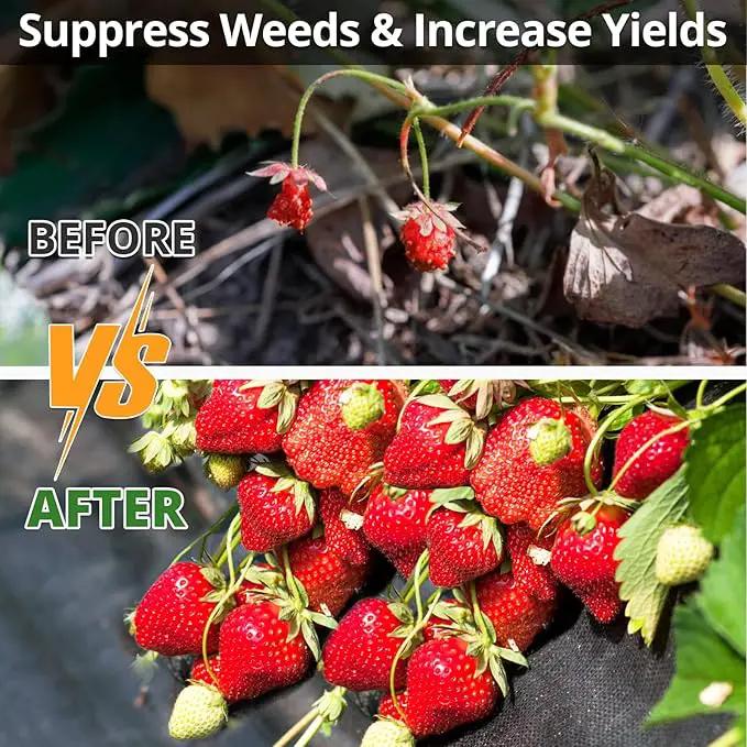 4ft×300ft Garden Weed Barrier Fabric, 3.2oz Premium Weed Blocker with 60 U-Shaped Securing Pegs, Weed Preventer for Gravel, Driveway, Gardening, Farming, Underlayment, Landscape by GreenHaven Gardens