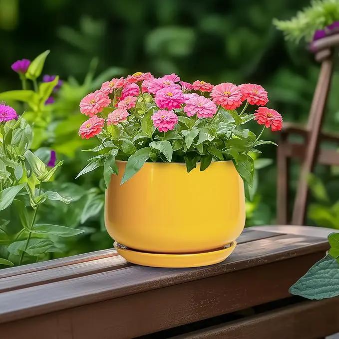 G EPGardening Ceramic Plant Pot - 6 Inch Ceramic Planter with Drainage Hole and Tray, Modern Round Planter, Flower Pot for Indoor Outdoor Plants, Plants Lovers Gifts, House Garden Decor, Yellow by GreenHaven Gardens