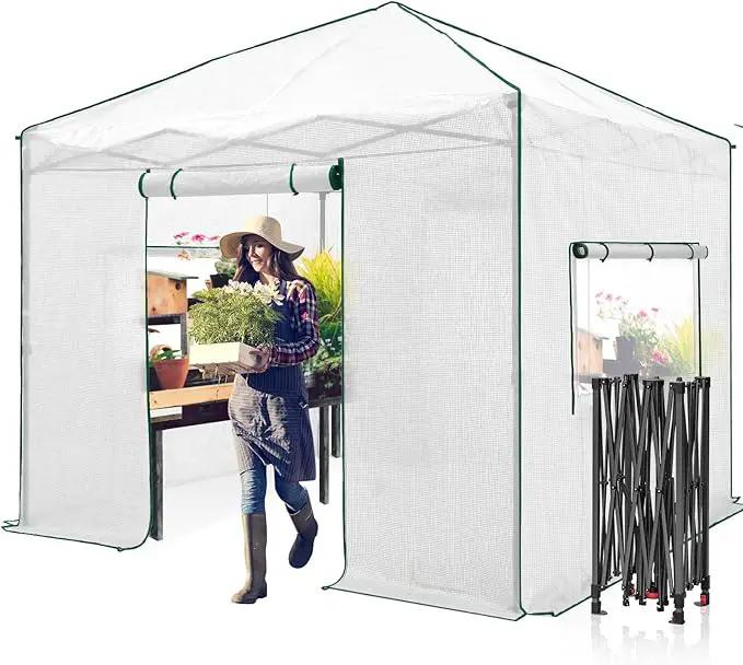 EAGLE PEAK 10x10 Portable Walk-in Greenhouse, Pop-up Indoor Outdoor Garden Green House, Zippered Doors and Windows, PE Cover, White by GreenHaven Gardens