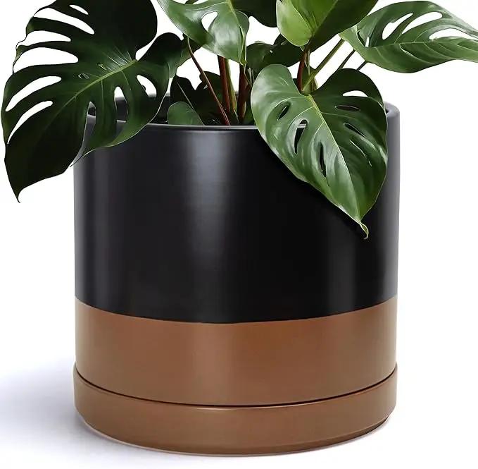 D'vine Dev 14 Inch Ceramic Planter Pot with Drainage Hole and Saucer, Indoor Cylinder Round Planter Pot, Black/Speckled Tan, 94-O-G-7 by GreenHaven Gardens