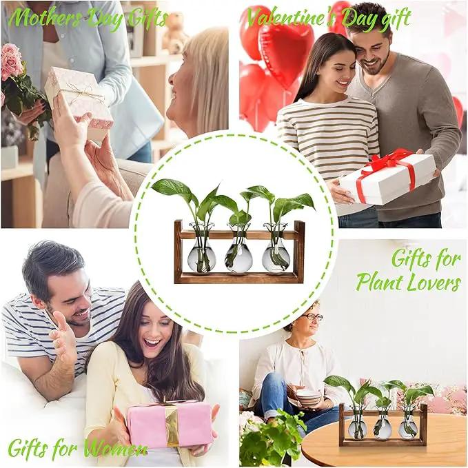 Plant Propagation Station Plant Terrarium Unique Birthday Gifts for Women Plant Lovers Home Office Decor Planter with Wooden Stand - 3 Bulb Glass Vase by GreenHaven Gardens