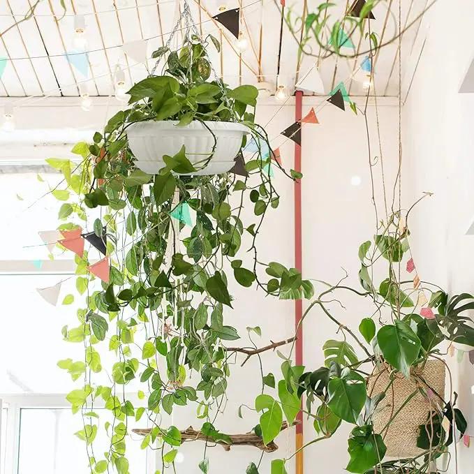 summer flower 12.59" Large Hanging Planters with Drainage Hole&Tray, Hanging Flower Pots Plastic Plant Hanger Holders Hanging Basket for Indoor Outdoor Home Garden Herb Succulent (Pack 3) by GreenHaven Gardens