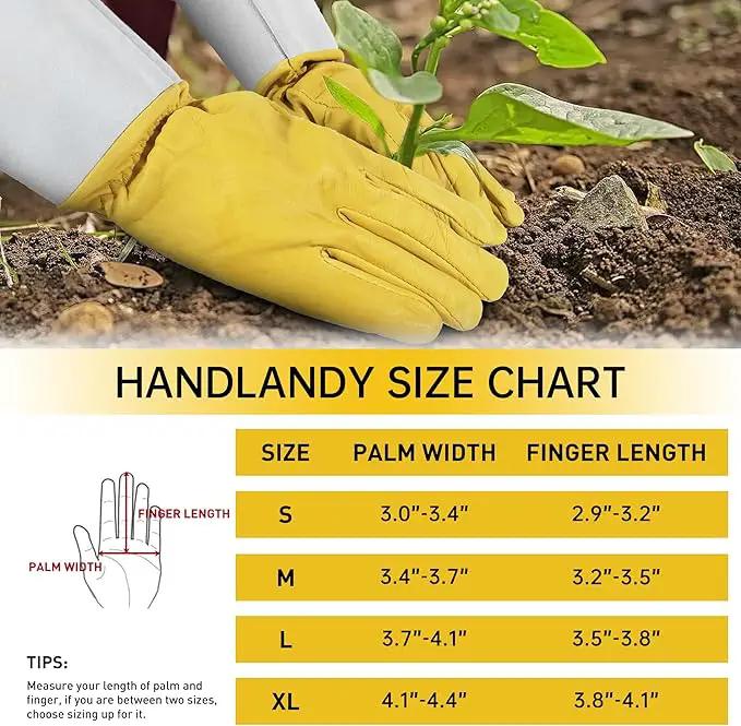HANDLANDY Rose Gloves for Men & Women, Long Leather Gardening Gloves Thorn Proof, Best Garden Gifts & Tools for Gardener (Yellow-beige, Small (Pack of 1)) by GreenHaven Gardens