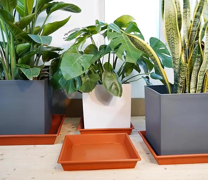 Square Plant Saucer 8 Inch 5 Pack, Plant Stand Plant Trays for Pots Heavy Duty Plastic Plant Saucers for Indoors Outdoors, Flower Pot No Holes Terracotta Plant Lover Gardening Gifts by GreenHaven Gardens