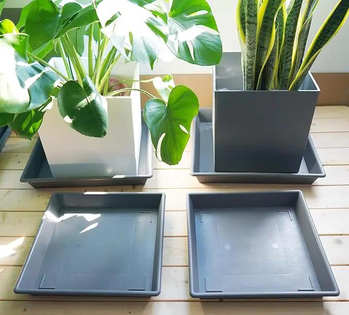 Square Plant Saucer 10 Inch 5 Pack, Plant Stand Flower Pot No Holes, Gray Plant Trays for Pots Heavy Duty Plastic Plant Saucers for Indoors Outdoors Plant Lover Gardening Gifts by GreenHaven Gardens