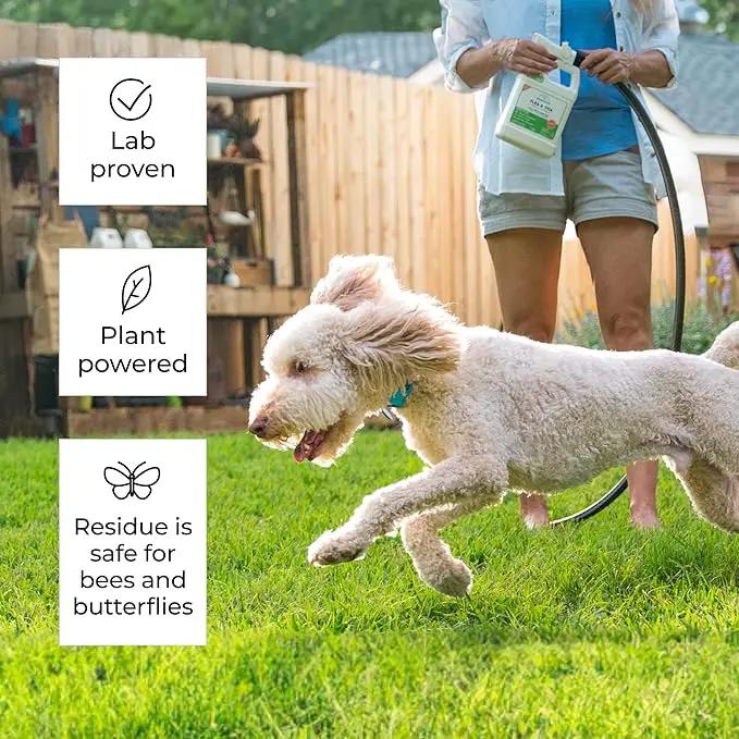 Wondercide - Ready to Use Flea, Tick, and Mosquito Yard Spray with Natural Essential Oils – Mosquito and Insect Killer, Treatment, and Repellent - Plant-Based - Safe Around Pets, Plants, Kids - 32 oz by GreenHaven Gardens