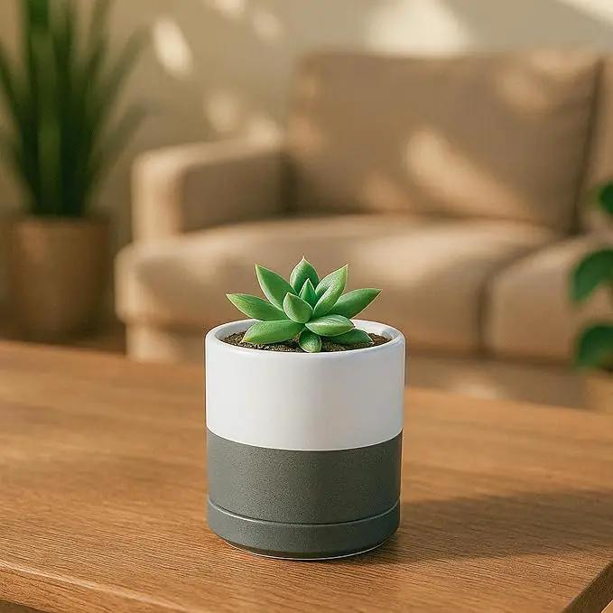 D'vine Dev Set of 4 Small Ceramic Plant Pots, 3.5 Inch Succulent Planter Pot for Plants with Drainage Hole and Saucer, White/Speckled Grey, 94-X-A-6 by GreenHaven Gardens