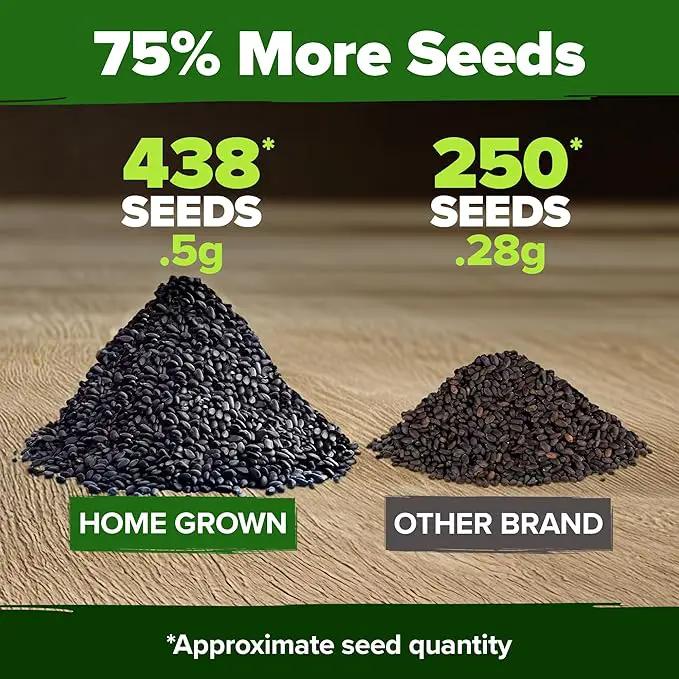 HOME GROWN Thai Basil Seeds Pack - 438 High Germination 𝗡𝗢𝗡-𝗚𝗠𝗢 𝗨𝗦𝗔 Heirloom Herb Seeds for Planting,Ideal for Growing Fresh Basil Planting Indoor or Outdoor(Ocimum basilicum var.thyrsiflora) by GreenHaven Gardens