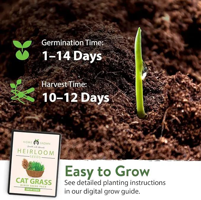 HOME GROWN 3 Cat Grass Seed Mix – Non-GMO Heirloom Oat, Alfalfa & Cat Grass Seeds | Indoor Pet Grass for Cats | High-Germination Greens for Hairball Control, Digestion, and Chewing Enrichment by GreenHaven Gardens