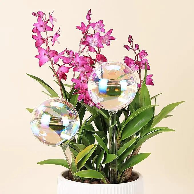 6.4 oz Medium Plant Self Watering Globes, Light Iridescent Glass Water Bulb for Indoor Plants While Away, Automatic Plant Waterer Self-Watering Stakes, Plant Thing for Plant Parents, 2 Pack by GreenHaven Gardens