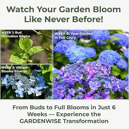 Slow Release Hydrangea Fertilizer with Iron & Sulfur – Indoor & Outdoor Soil Acidifier for Miracle Growth (1 qt) by GreenHaven Gardens