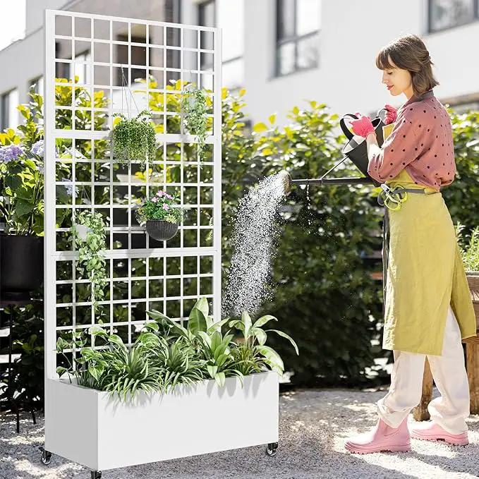 Casaphoria Metal Raised Garden Bed with Trellis and Wheels, 72"x35"x16" Planter Box for Climbing Plants, Vegetables & Vines, Features Drainage Holes and Privacy Screen (White-Square) by GreenHaven Gardens