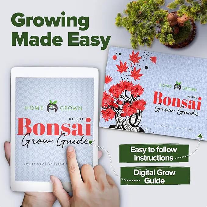 HOME GROWN Bonsai Tree Kit - Premium Ceramic Starter Kit - 4 Variety of Bonsai - Unique Gift for Men and Women Gardeners by GreenHaven Gardens