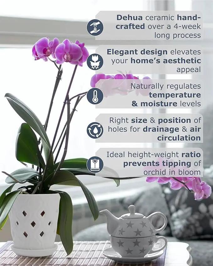 Whispering Winds Ceramic 5 x 6 Inch Orchid Pot with Holes & Saucer for Aeration and Drainage - Decorative Orchid Pots for Repotting, Prevent Over Watering & Root Rot (Carrara White) by GreenHaven Gardens
