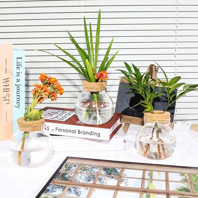 Plant Propagation Station,Hydroponic Terrarium Vase,Desktop Glass Planter Station,for Houses,Garden Decorations,ropagating Hydroponic Plants,Centerpiece Office,Home Garden Decor (6) by GreenHaven Gardens