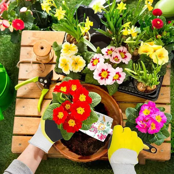 Garden Tools Set, Aluminum Alloy Garden Hand Tool 5 Piece Gardening Tools with Hand Rake, Hand Weeder, Transplant Trowel, Pruning Shears and Gardening Gloves for Outdoor Gardening Work by GreenHaven Gardens