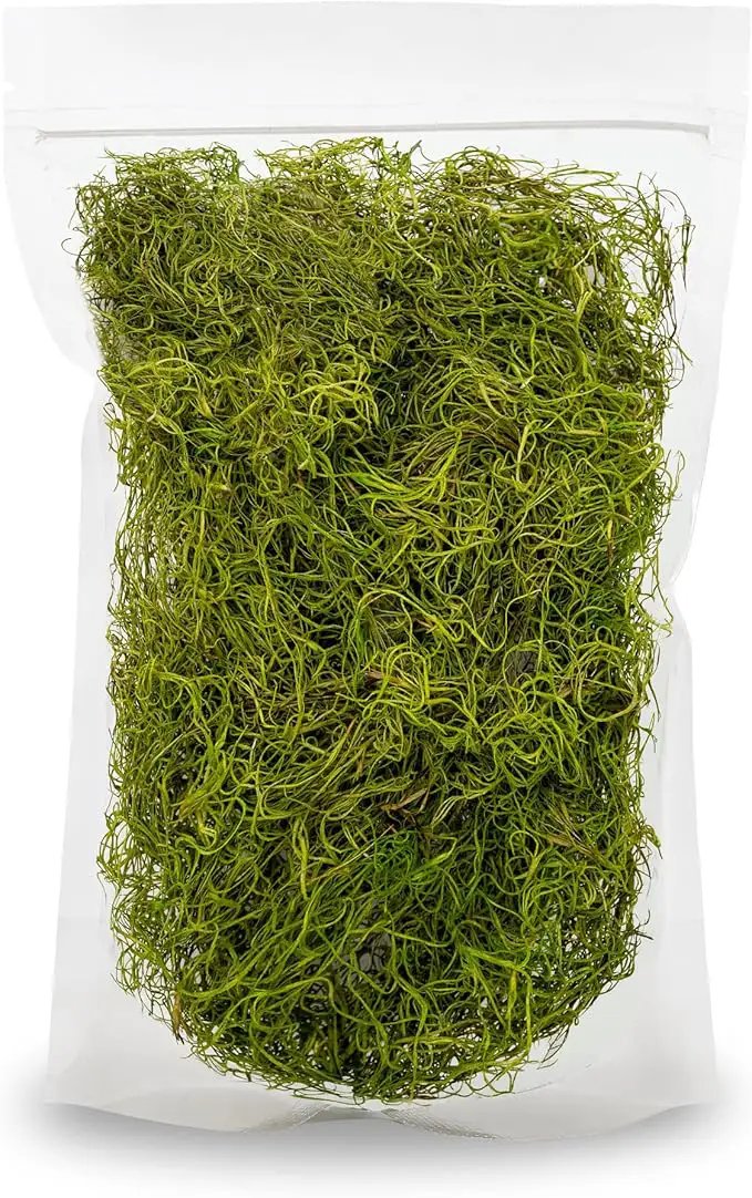 Premium Spanish Moss in Spring Green| Natural Preserved - Great Ground Cover - Filler for Potted Plants - by GARDENERA - 2 Quart Bag by GreenHaven Gardens