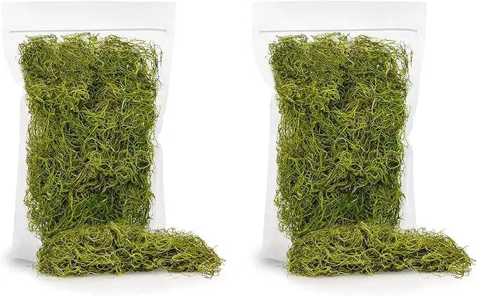 Premium Spanish Moss in Spring Green| Natural Preserved - 10 Quart - Great Ground Cover - Filler for Potted Plants - by GARDENERA (2 Bags of 5 Quart) by GreenHaven Gardens