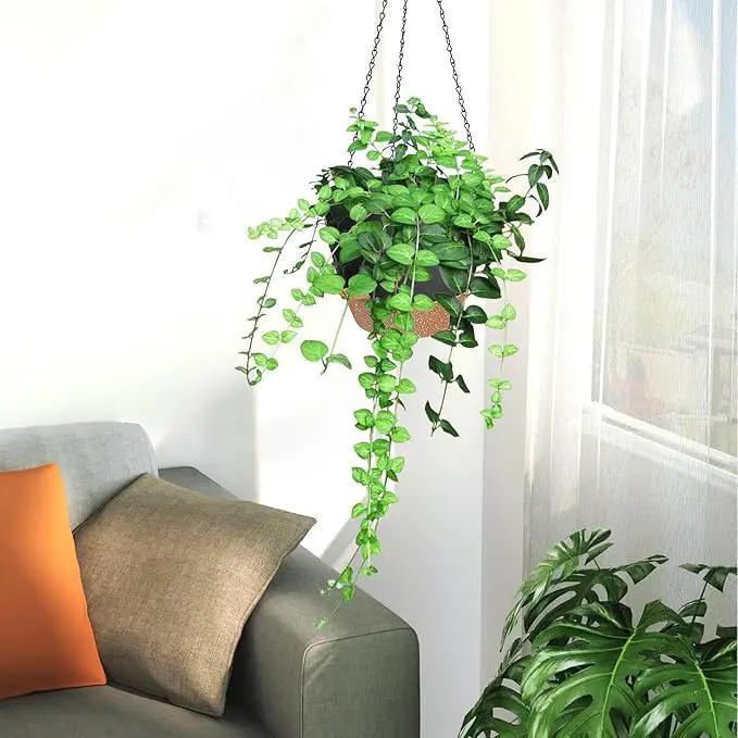 3 Pack Hanging Planter Indoor Outdoor Flower Pots 7/6.5/5 Inch, Self-Watering Hanging Pot with Drainage Holes Hanging Baskets Holder Plant Pots for Garden (Black) by GreenHaven Gardens
