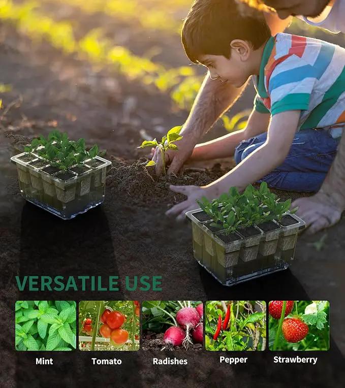 Seed Starter Tray, 60-Cells Seedling Starter Trays with Grow Light, Self-Watering Seed Germination Kit for Indoor Gardening Seed Starting (5 Pack, Clear Base) by GreenHaven Gardens