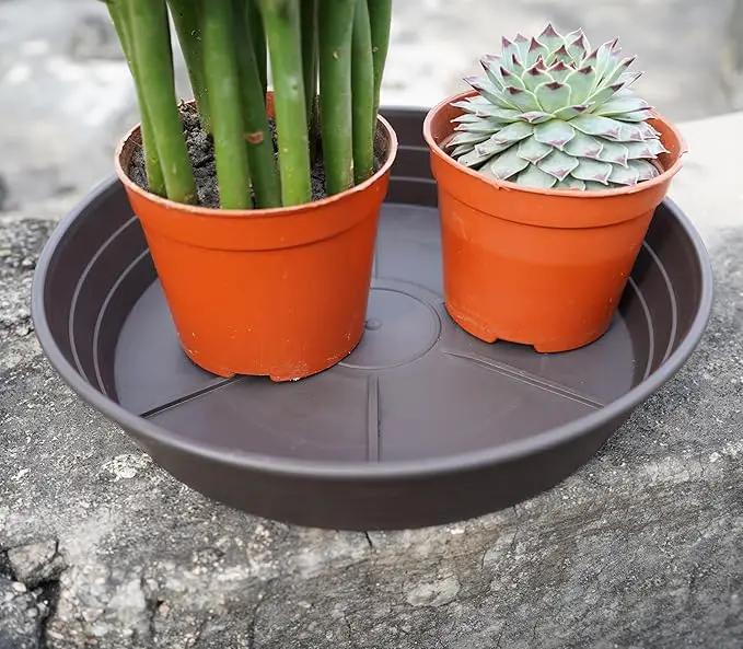 Plant Saucer 6 Inch 4 Pack 6 8 10 12 14 16 18 20 25, Plastic Plant Trays for Pots，Extra-Deep Plant Water Dray Tray, Bird Bath Bowl, Heavy Flower Plant saucers Indoors and Outdoor No Holes 6in-4 brown by GreenHaven Gardens