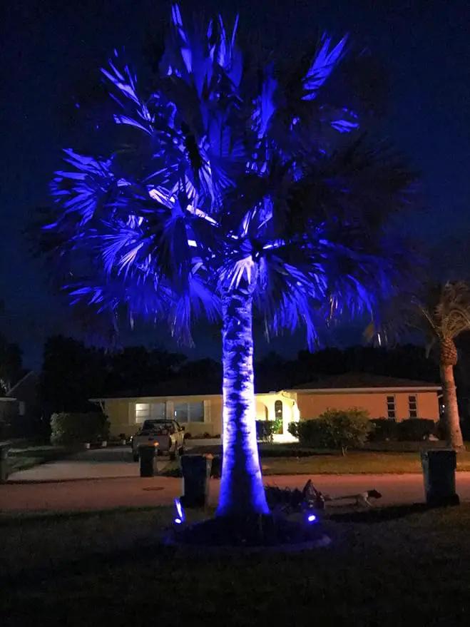 T-SUNUS 4 Pack Solar Landscape Spotlights - Blue, Waterproof IP65, 9.8ft Cable, 2000mAh Solar Panel, Auto On/Off for Garden, Driveway, Pathway, Pool Area by GreenHaven Gardens