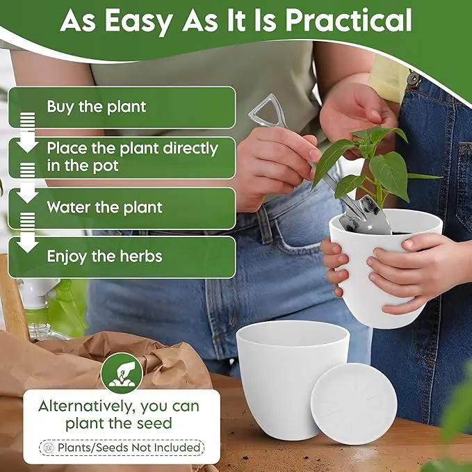 Indoor Garden Kit - Plant Pots with Drainage, Watering Can & Tools - Ideal Windowsill Planter Set - Modern Home & Kitchen Decor Gift - White by GreenHaven Gardens