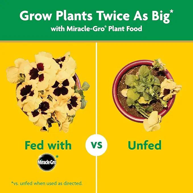 Miracle-Gro Garden Feeder with Water Soluble All Purpose Plant Food, Hose-end Feeder for Outdoor Plants, 1 lb. by GreenHaven Gardens