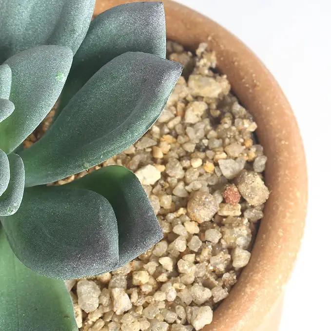 3 Pcs Artificial Succulent Plants Potted False Succulent Plants Potted Faux Potted Plant Family Office Bookshelf Decor by GreenHaven Gardens