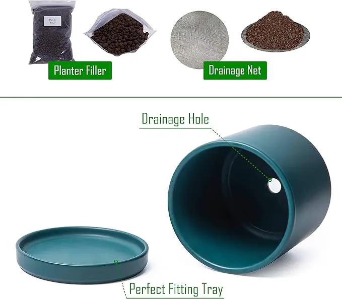 D'vine Dev Set of 2 Plants Pots, 6 Inch Ceramic Planter Pot for Plants with Drainage Hole and Saucer, Teal, 94-V-C-9 by GreenHaven Gardens