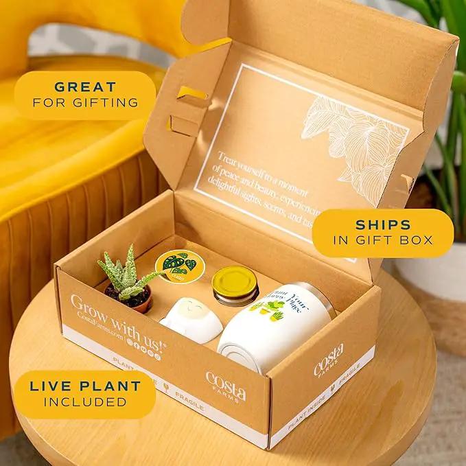 Costa Farms Live Plant Gift Box, Succulent Live Indoor Houseplant, Perfect Birthday and Holiday Gift, Includes Mini Succulent, Insulated Tumbler, Soy Candle, Collectible Sticker, Cute Room Decor by GreenHaven Gardens
