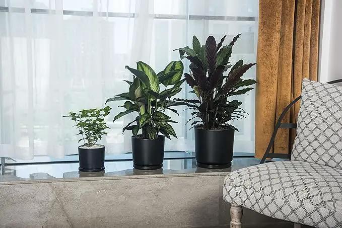 Ekirlin 9 inch Plant Pots,Ceramic Flower Planters Indoor,Modern Succulents Containers with Drain Hole Saucer,Decorate Home,Office & Outdoor (Black) by GreenHaven Gardens