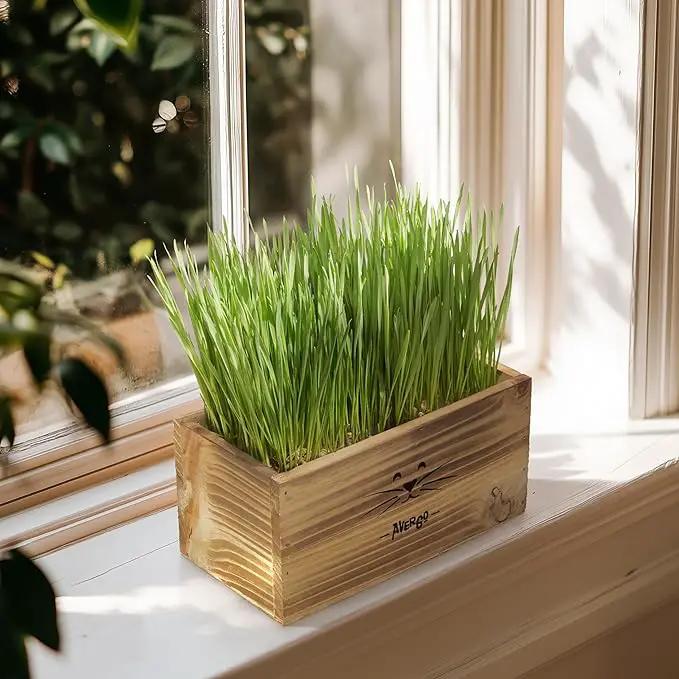Cat Grass Kit for Indoor Cats – x4 Seed Packets | Cat Grass Seeds with Wooden Planter, Soil & Mini Gardening Tools for Nipping – Pet-Safe Wheatgrass Grass by GreenHaven Gardens
