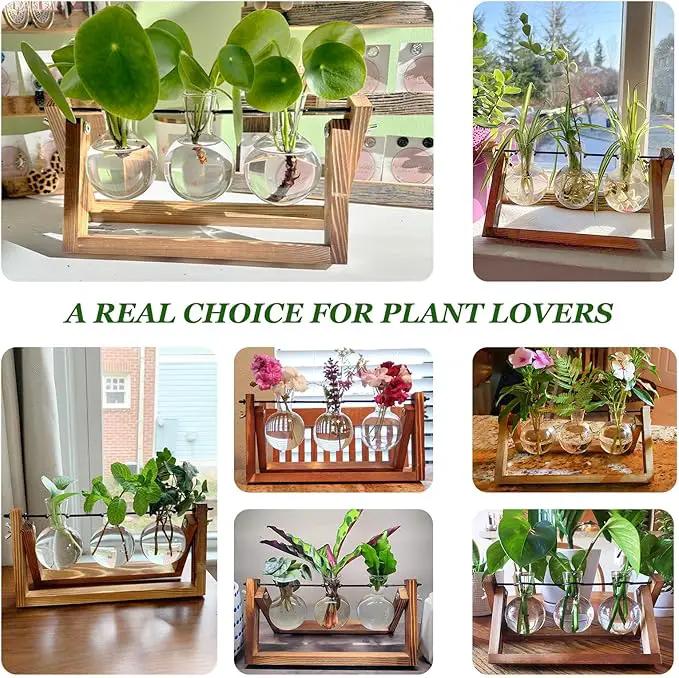 Plant Propagation Station, Plant Terrarium with Wooden Stand, Unique Gardening Birthday Gifts for Women Plants Lovers, Home Office Garden Decor Planter - 3 Bulb Glass Vases by GreenHaven Gardens