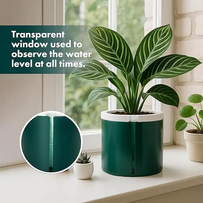 D'vine Dev 8 Inch Design Self Watering Planter for Indoor Plants, White Terracotta Pot with Teal Cylinder Glass Cup, 37-X-C-5 by GreenHaven Gardens