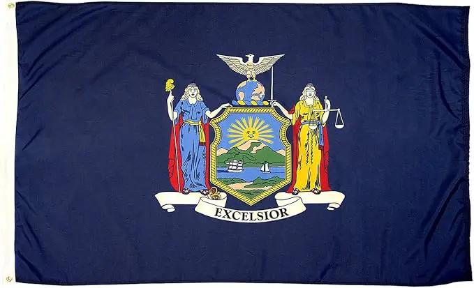 FlagSource New York Nylon State Flag, Made in the USA, 3x5' by GreenHaven Gardens
