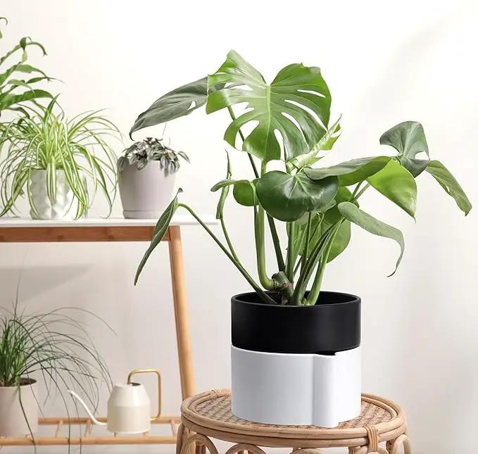 8 Inch Self-Watering Planter Pot with Terracotta Insert, Deep Water Reservoir, and Ceramic-Alike BPA-Free Plastic Planter Pot for Plant, Modern Planter for Houseplants, White/Black, 53-B-T-4 by GreenHaven Gardens