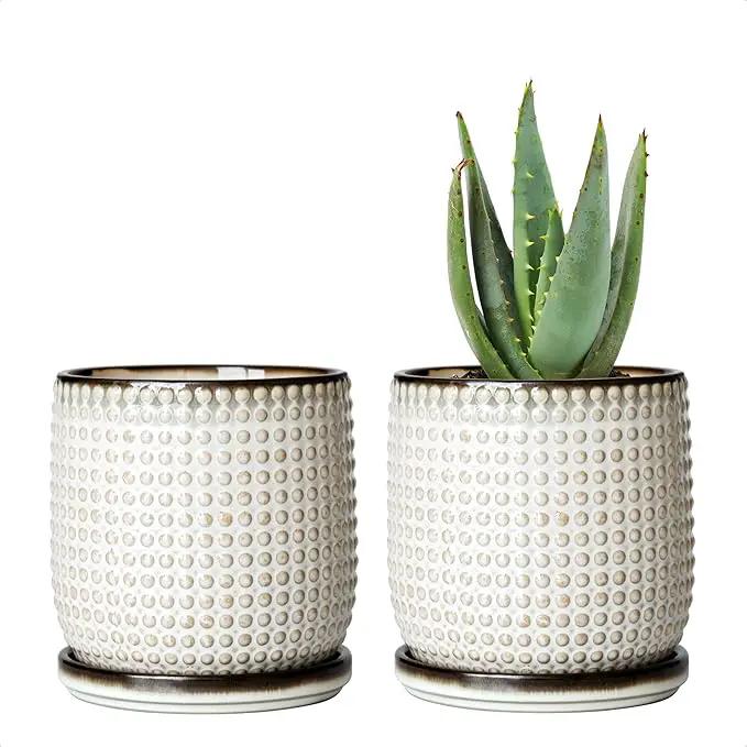 D'vine Dev Set of 2 Ceramic Plants Pots, 4 Inch Beaded Stoneware Flower Pot for Plants with Drainage Hole and Saucer, Smoked White, 27-E-Z-1 by GreenHaven Gardens