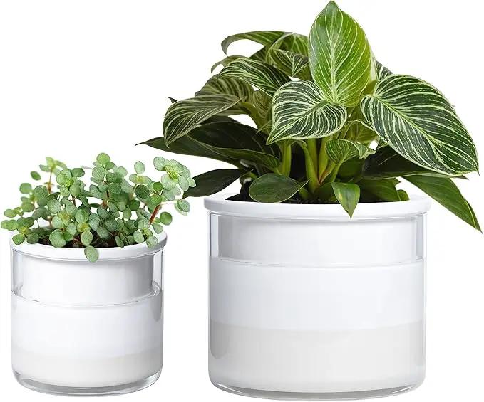 Phoenix Vine 6 Inch 4 Inch Self Watering Planter Pots, Design White Terracotta Pots for Plants, Indoor Cylinder Terra Cotta Pots with Glass Vase Set, 51-B-G-46 by GreenHaven Gardens