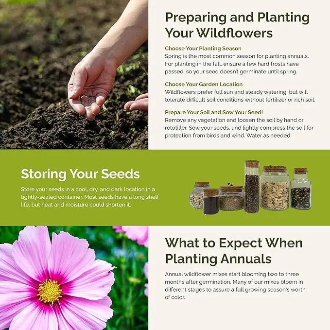 Eden Brothers Purple Rain Flower Mixed Seeds for Planting, 1 lb, 480,000+ Seeds with Zinnia Purple Prince & Violet Queen, Cosmos | Attracts Pollinators, Plant in Spring, Zones 3, 4, 5, 6, 7, 8, 9, 10 by GreenHaven Gardens