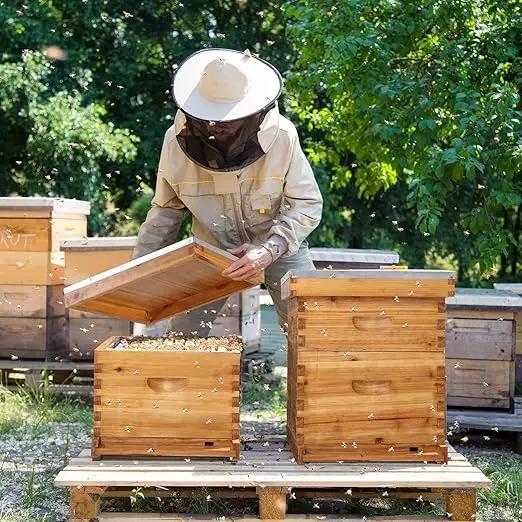VINGLI 10 Frames Beehive, Complete Beehive Kit Includes 1 Deep Boxes, 1 Medium Box, Frames and Waxed Foundations, for Yard, Field, Bee Farm (2 Layer) by GreenHaven Gardens